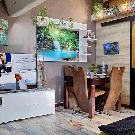 Vacance Et Cure Dans Duplex 80 M2 A 66400 公寓 塞雷