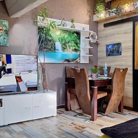 Vacance Et Cure Dans Duplex 80 M2 A 66400 * 塞雷