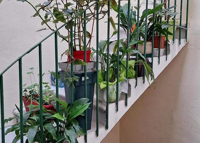 Vacance Et Cure Dans Duplex 80 M2 A 66400 Céret